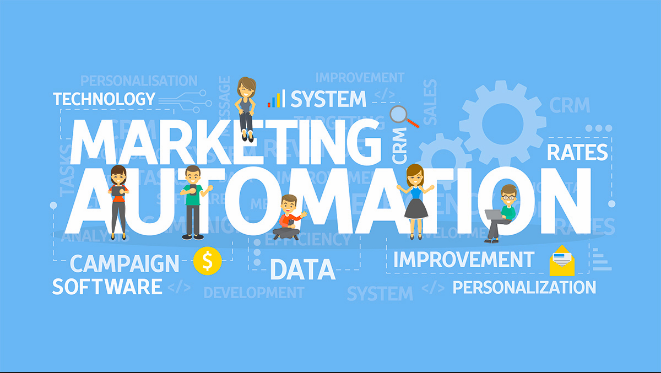 marketing automation consultant