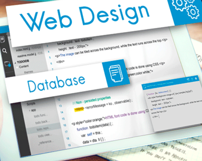 web design services in Brisbane